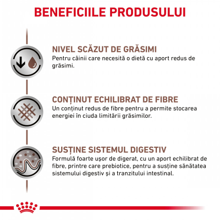 Royal Canin GastroIntestinal Low Fat Dog– 420 g [2]