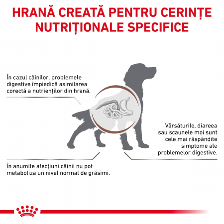 Royal Canin GastroIntestinal Low Fat Dog – 6 kg [2]