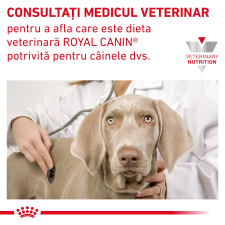 Royal Canin Gastrointestinal Puppy - 195 g [4]
