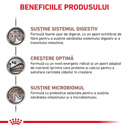 Royal Canin Gastrointestinal Puppy - 195 g [1]