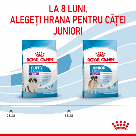 Royal Canin Giant Puppy - 1 kg [5]
