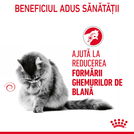 Royal Canin Hairball Care Cat - 2 kg [2]