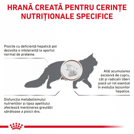 Royal Canin Hepatic Cat – 2 kg [2]