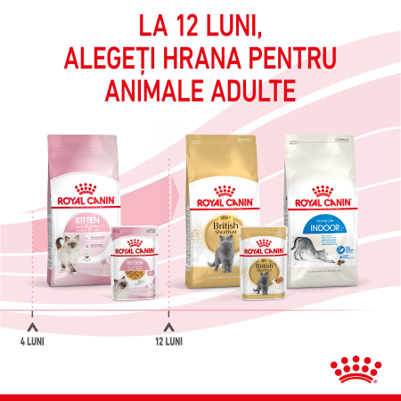 Royal Canin Kitten in Jelly - 85 g [9]