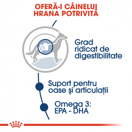 Royal Canin Maxi Adult Dog - în sos - 140 g [1]