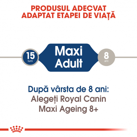 Royal Canin Maxi Adult Dog - în sos - 140 g [4]
