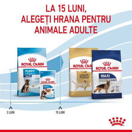 Royal Canin Maxi Puppy - 12 kg [10]