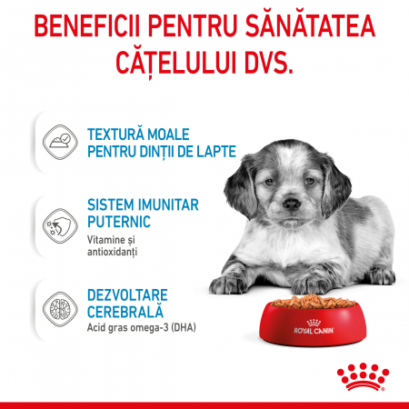 Royal Canin Medium Puppy - in sos - 140 g [3]