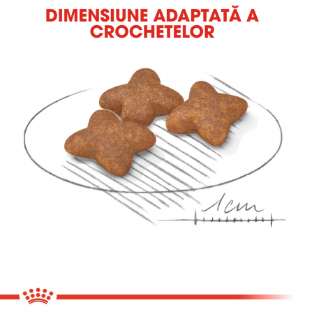 Royal Canin Mini Adult Dog - 2 kg [3]