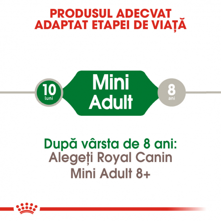 Royal Canin Mini Adult Dog - 2 kg [5]