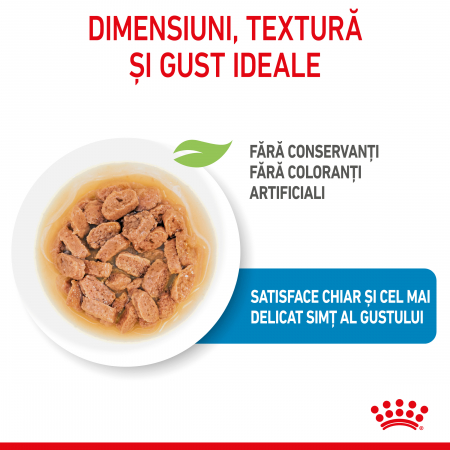 Royal Canin Mini Puppy - in sos - 85 g [1]