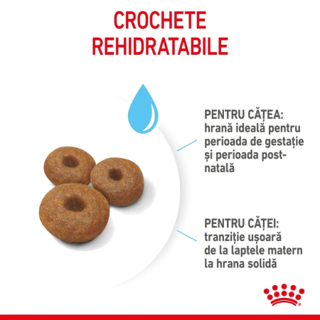 Royal Canin Maxi Starter - Mother & Babydog – 4kg [3]