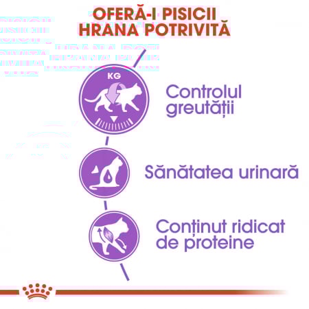 Royal Canin Sterilised Cat – 4 kg [2]