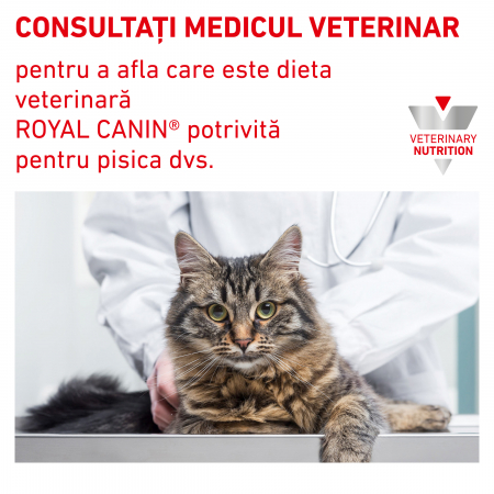 Royal Canin Urinary S/O Cat - 1.5 Kg [6]