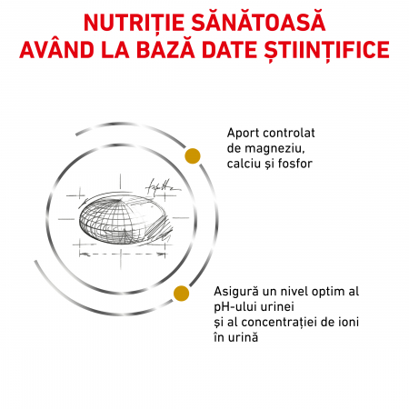 Royal Canin Urinary S/O Cat - 1.5 Kg [2]