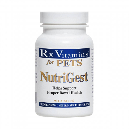 Câini - Rx NutriGest – 90 capsule