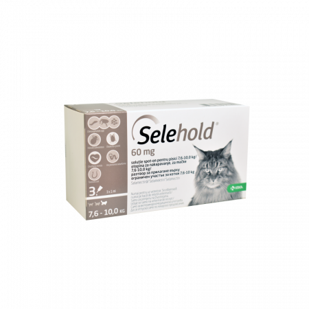 Farmacie Pisici - Selehold 60 mg - pisici 7.6-10 kg – 3 Pipete