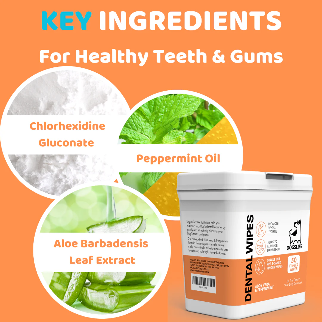 Șervețele dentare OurDogsLife - 50 buc [1]