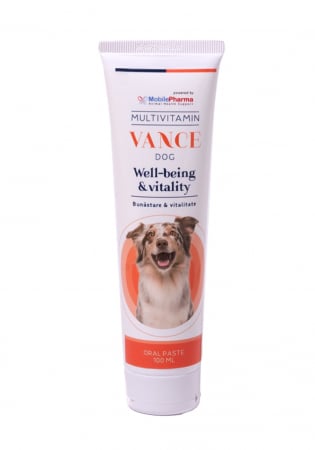 Vance Multivitamin Dog - 100 ml pastă palatabilă