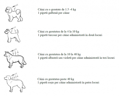 Vectra 3D Dog 4-10 kg spot-on - cutie cu 3 pipete [2]
