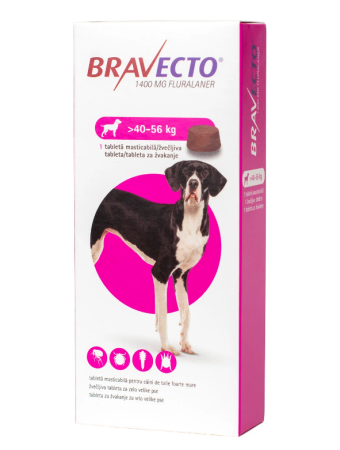 CÂINI - Bravecto 1400 mg (40-56 kg) - 1 tableta