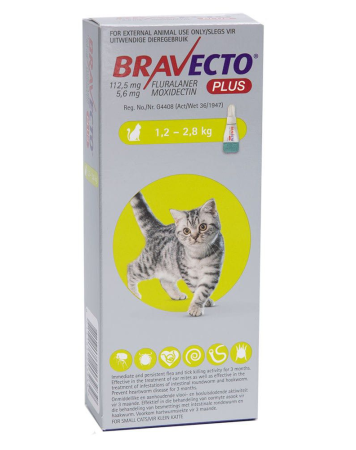 PISICI - Bravecto Plus Cat Spot On 112.5 mg (1.2-2.8 kg) - 1 pipeta