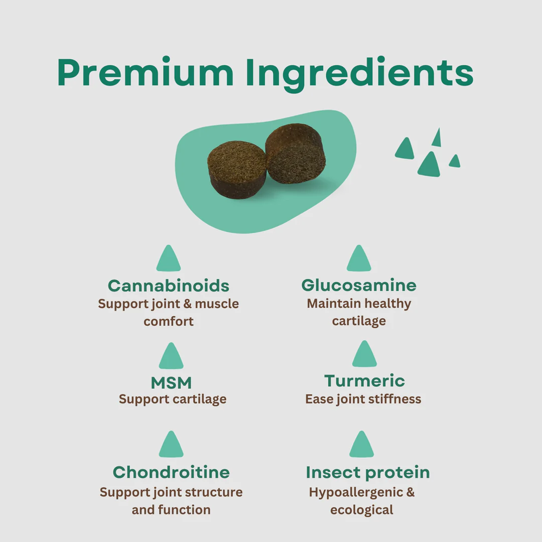 Mobility Treats with CBD for Dogs - 100 g [1]