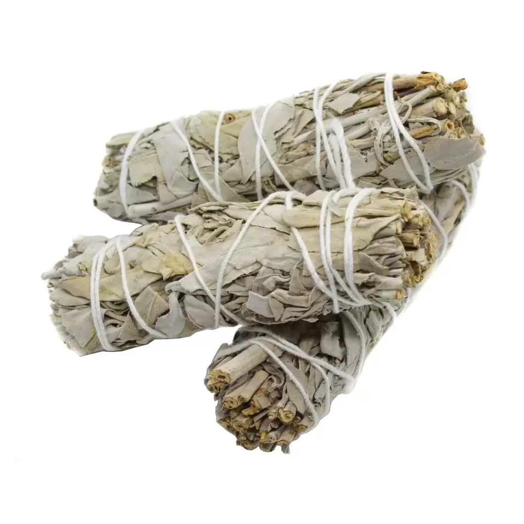 Buchet Salvie Alba (California White Sage) 10-12cm [1]