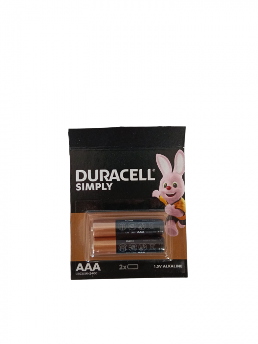 DURACELL BASIC 2/SET R3 [1]