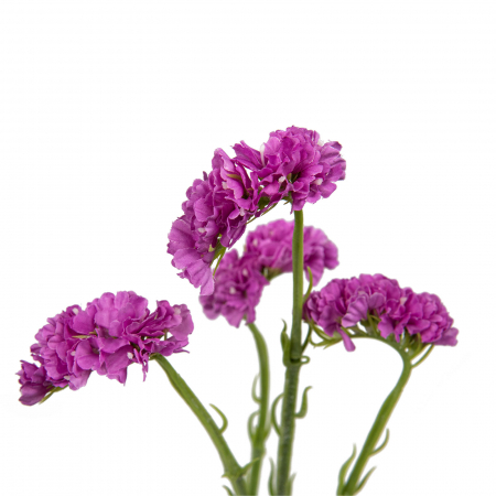 Flori artificiale 20.28 [4]