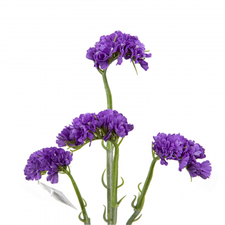 Flori artificiale 20.28 [3]