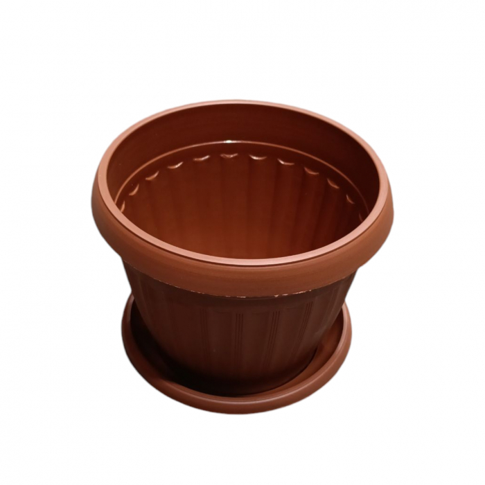 GHIVECI D 230 CRI (3L) [1]
