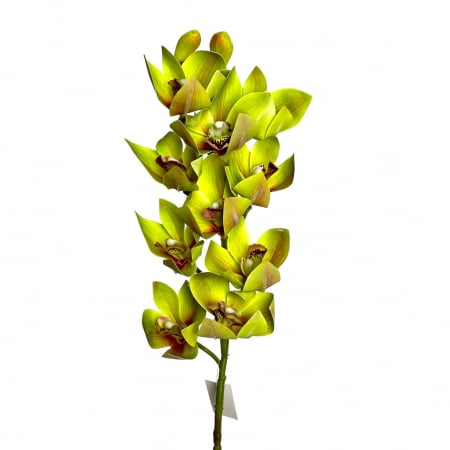 Orhidee Cymbidium  artificiala 18.10 [3]