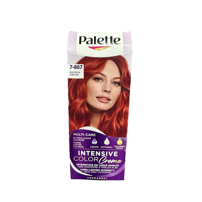 PALETTE V5-VIOLET INTENS [2]