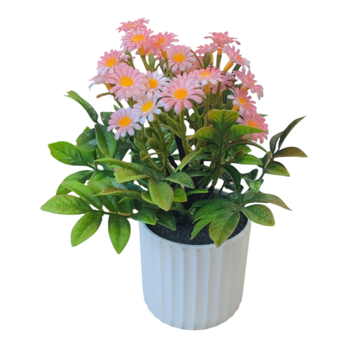 Planta decorativa in ghiveci 26M 19-2 [4]