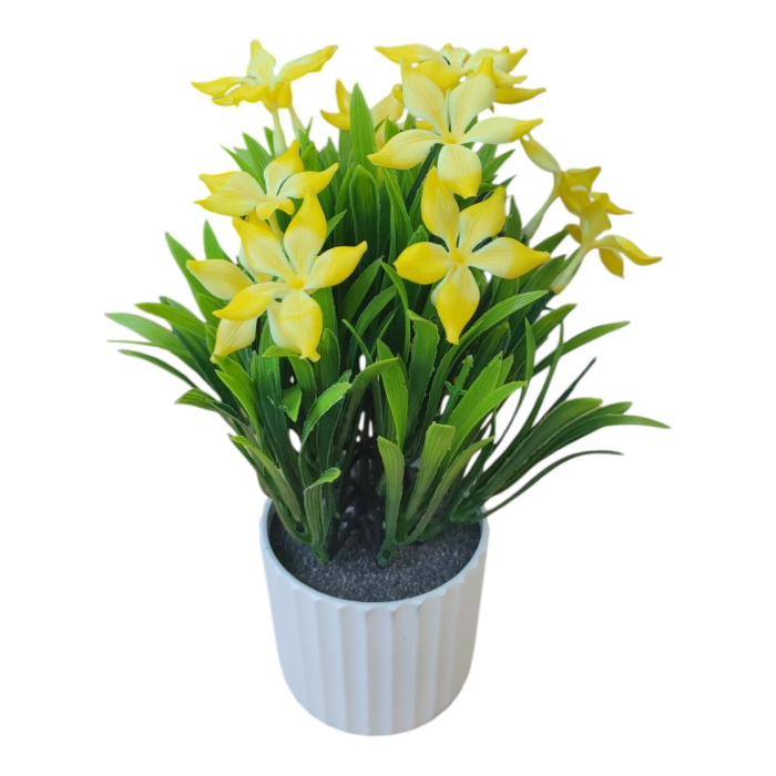 Planta decorativa in ghiveci 26M 19-3 [2]