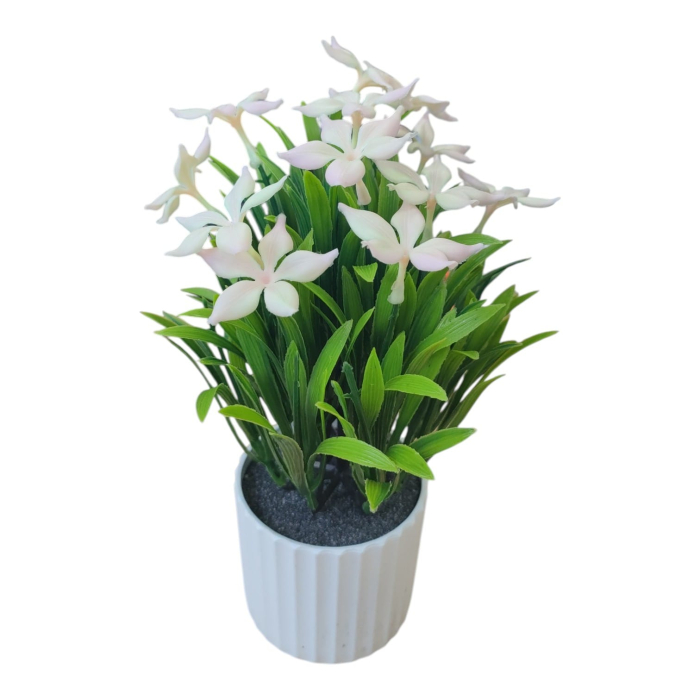 Planta decorativa in ghiveci 26M 19-3 [3]