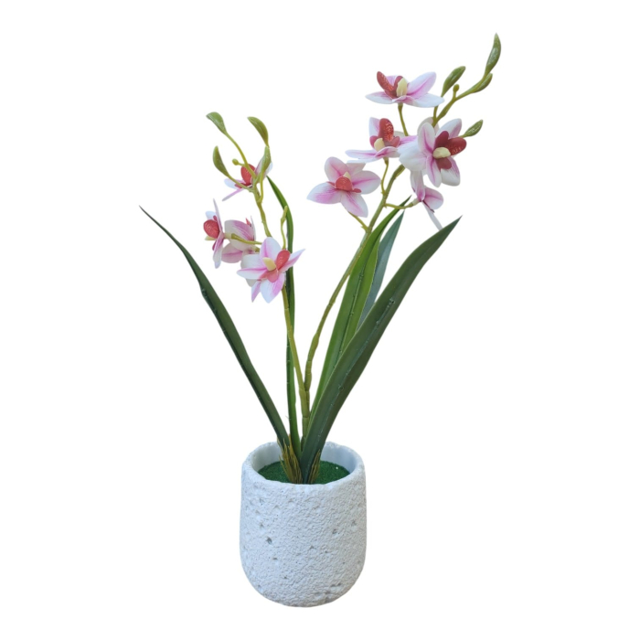 Planta decorativa in ghiveci 26M 19-7 [2]