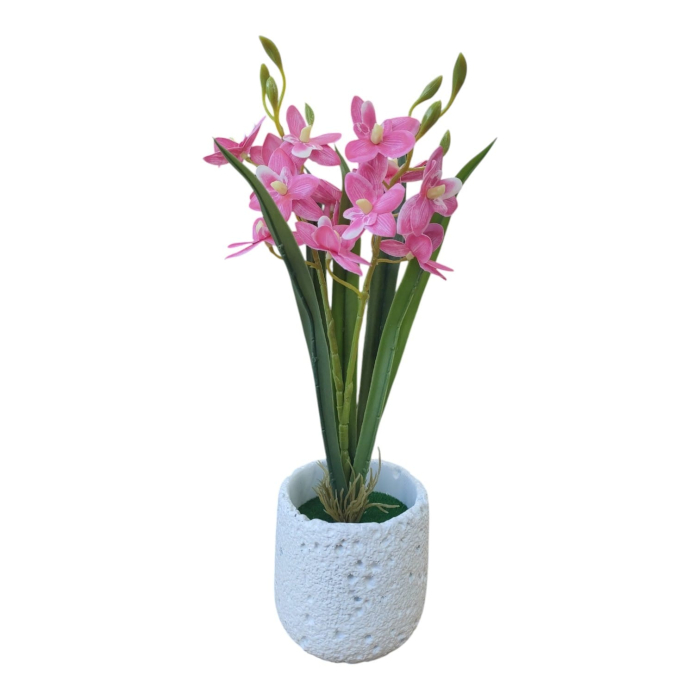 Planta decorativa in ghiveci 26M 19-7 [4]