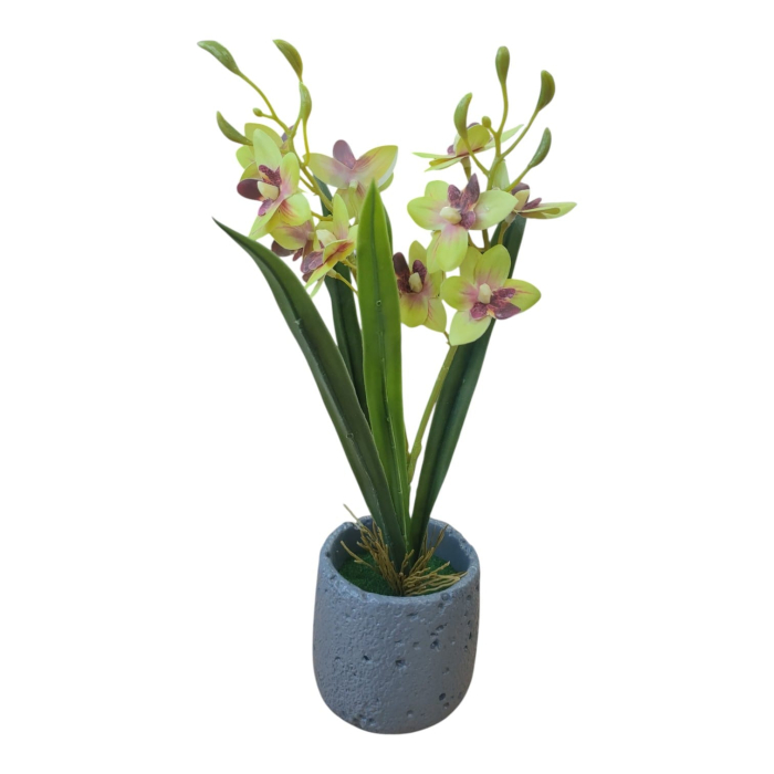 Planta decorativa in ghiveci 26M 19-7 [3]