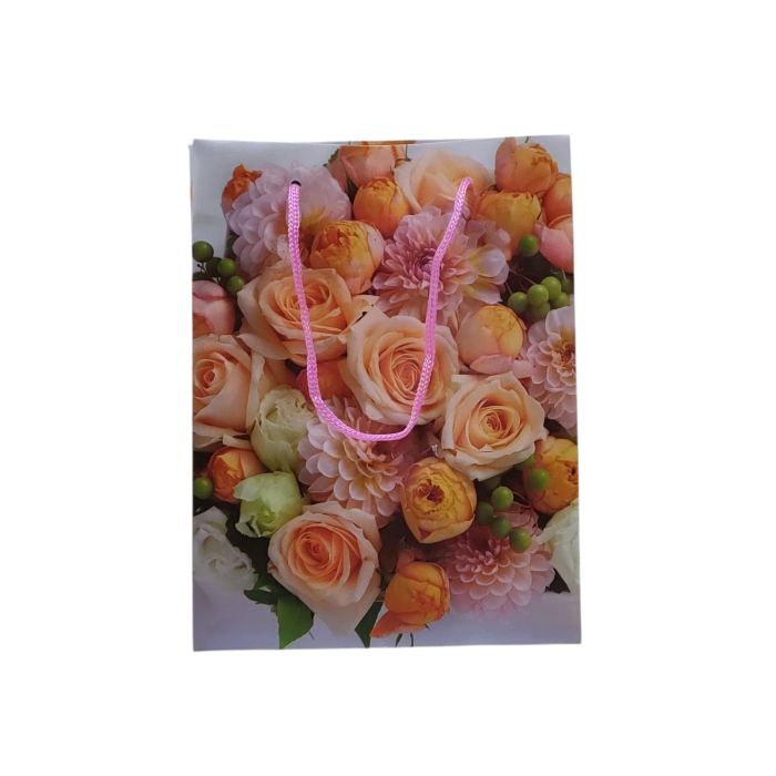 Punga cadou 5.5(17x13x6cm) [2]