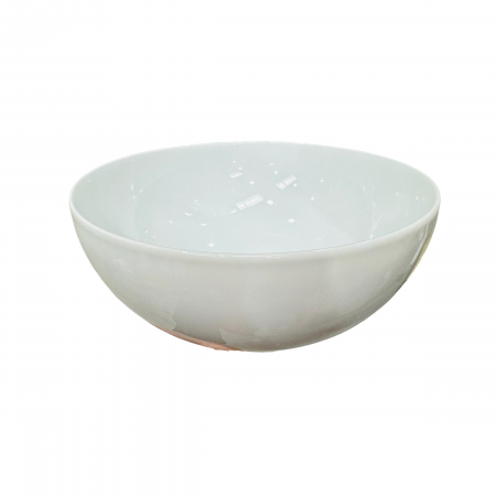 PRODUSE UZ CASNIC SI MENAJ - BOL 22 CM ALB