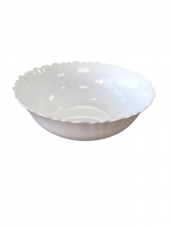 PRODUSE UZ CASNIC SI MENAJ - BOL ALB ARCOPAL