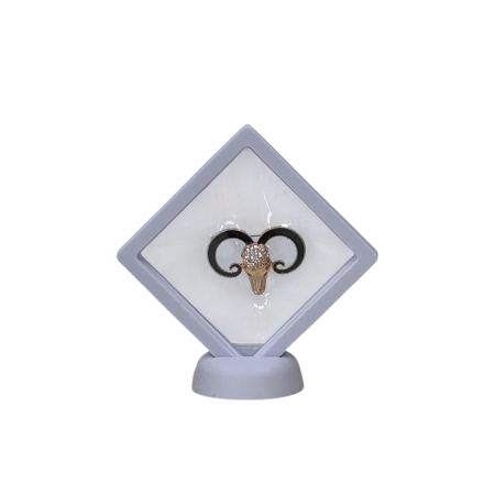 ARTICOLE ANIVERSARE - BROSA 2.17 IN CUTIE cu suport