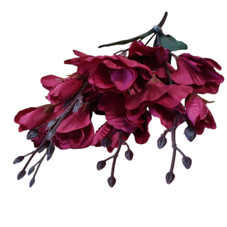 NeoSysApi - Buchet magnolia 7.12