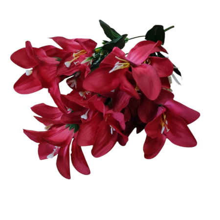 NeoSysApi - Buchet mini crini 7.9