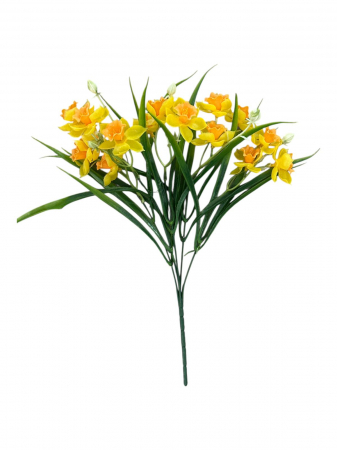 NeoSysApi - Buchet narcise 25N 7-8