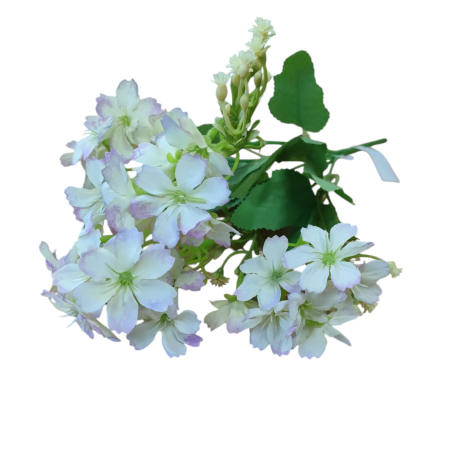 NeoSysApi - Buchet panselute 7.6