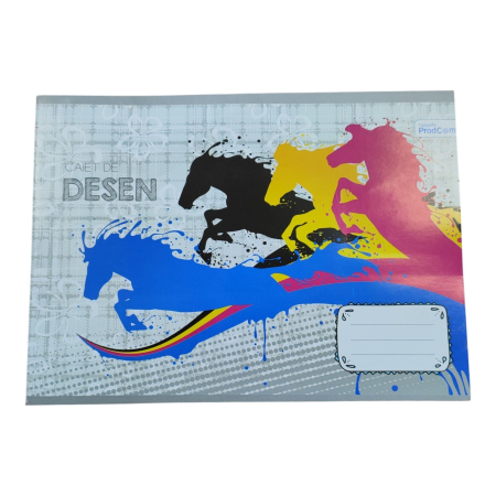 NeoSys - CAIET DESEN A5 (24 file)