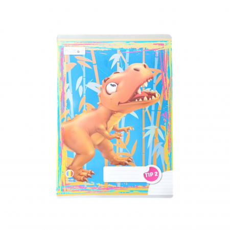 PAPETARIE - CAIET TIP 2